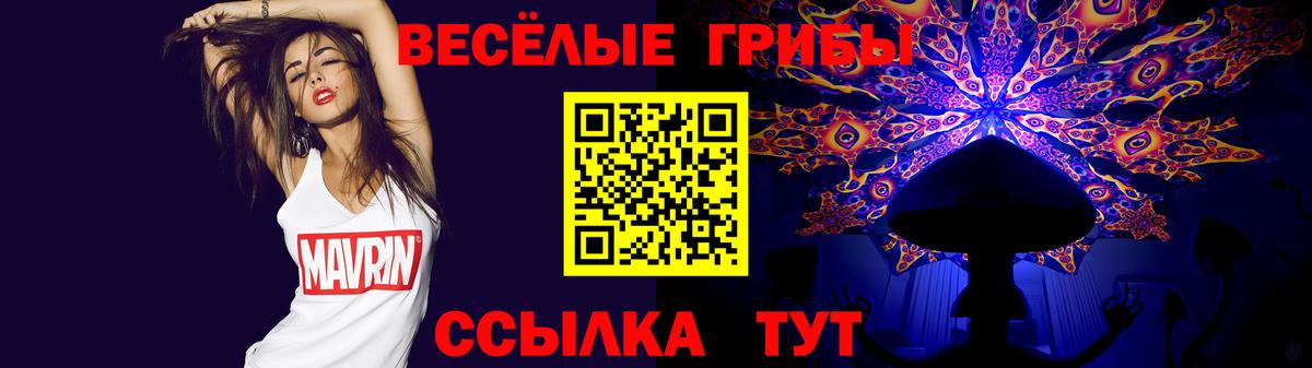 Галлюциногенные грибы MAGIC MUSHROOMS  Вход с VPN  Севастополь 